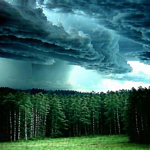 Nature Abstract Design: Storm clouds over (forest:1.44) clearing