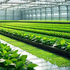 Agricultural Technology In Research Center With Large Greenhouse