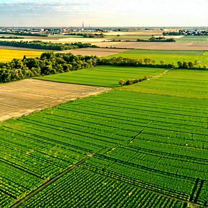 Nature Architectural Photography: Aerial View Of Agricultural Fields With Large, Lush
