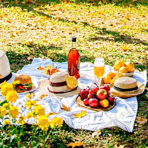 Lifestyle Minimalist Design: Summer Picnic During Autumn With Picnic Table