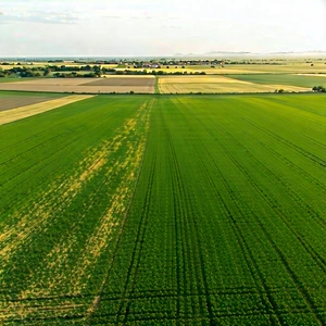 Nature Digital Illustration: Aerial View Of Agricultural Fields With Large, Lush