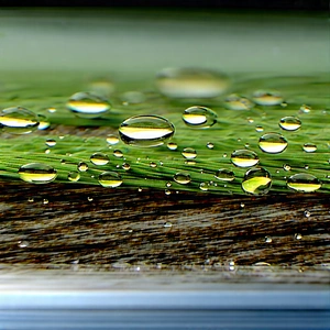 Abstract Matte Painting: Macro View Of Microscopic View With Close-up Green