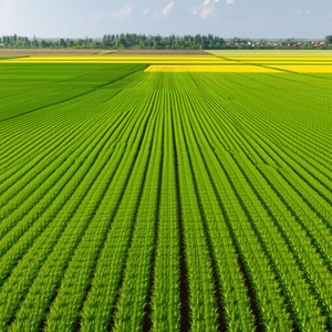 Tech Professional Photography: Agricultural technology in design studio