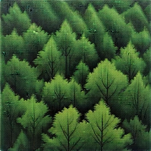 Nature Pencil Sketch: Aerial view of forest canopy