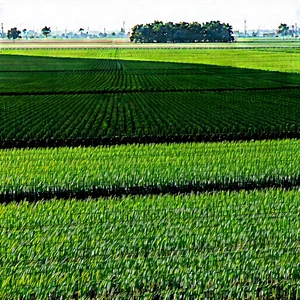 Agricultural Technology In (design:1.36) Studio With Large, Lush