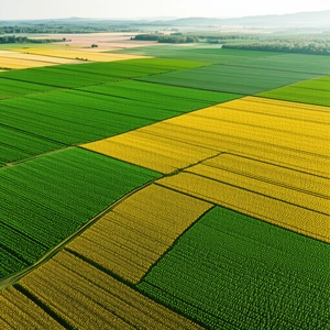 Nature Lithograph: Aerial View Of Agricultural Fields With Large, Lush
