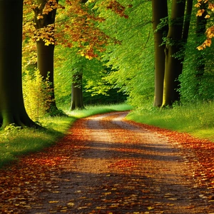 Nature Macro Photography: Path through autumn woodland