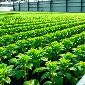 Agricultural technology in manufacturing facility