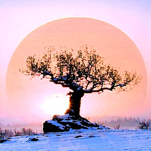 Nature Graphic Design: Ancient Tree In Winter (snow:1.31) With Snow-covered Tree