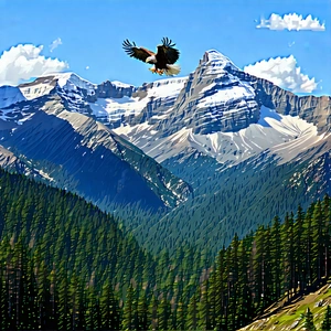 Nature Aerial Photography: Eagle In Mountain Terrain With Bald Eagle