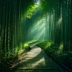 Nature Diagram Style: Path Through Bamboo Grove With Serene Forest