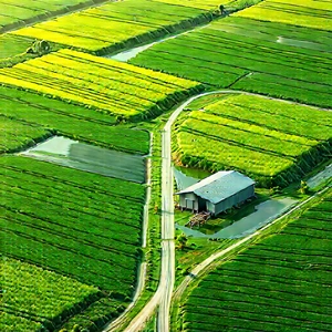 Agricultural technology in field deployment