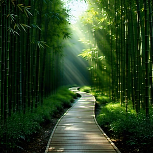 Nature Matte Painting: Path Through Bamboo Grove With Pathway Surrounded