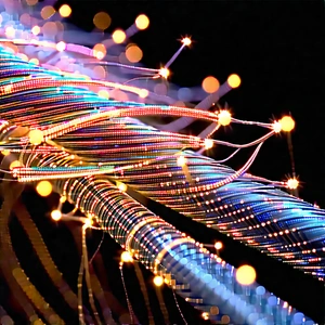 Close-up of fiber optic cables