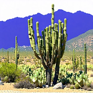 Nature Blender Artwork: Cactus In Natural Setting With Desert Landscape