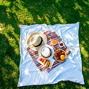 Lifestyle Drone Photography: Summer Picnic During Holiday Season With Blanket Spread
