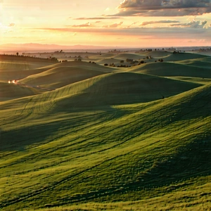 Nature Stock Photography: Rolling hills during sunrise