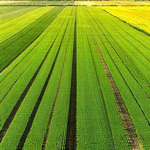 Tech Octane Render: Agricultural technology in field deployment