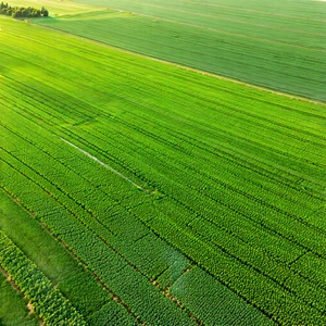 Nature Long Exposure Photography: Aerial View Of Agricultural Fields With Large, Lush