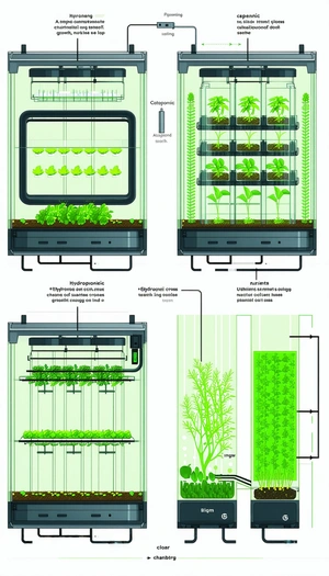 The Image Is A Diagram Showing The Process Of Growing Plants In A Hydroponic System