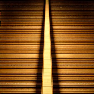 Nature Aerial Photography: Path Through Pine Forest With Wooden Plank