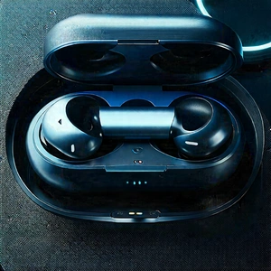 Wireless Earbuds With Digital Artwork With Pair Black