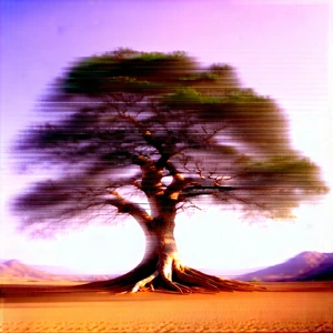 Nature Architectural Photography: Ancient Tree In Dry Season With Large Tree
