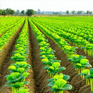 Tech Product Photography: Agricultural Technology In Field Deployment With Large Field