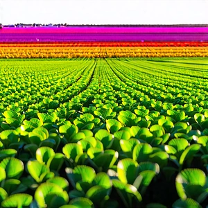 Agricultural Technology In Research Center With Large Field