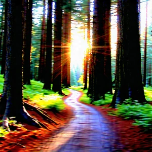 Nature Digital Art: Path Through Redwood Forest With Beautiful Forest