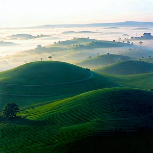 Nature Geometric Design: Rolling Hills During Foggy Morning With Lush Green