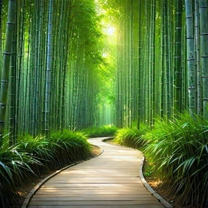 Nature Landscape Photography: Path through bamboo grove