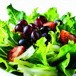 Lifestyle Editorial Photography: Fresh Salad Prepared With Artistic Presentation With Close-up Salad