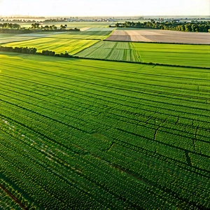 Nature Long Exposure Photography: Aerial view of agricultural fields