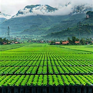Agricultural Technology In Tech Office With Large, Lush