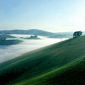 Nature Advertising Photography: Rolling hills during foggy morning