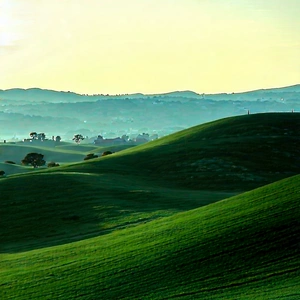 Nature Professional Photography: Rolling Hills During Golden Hour With Lush Green