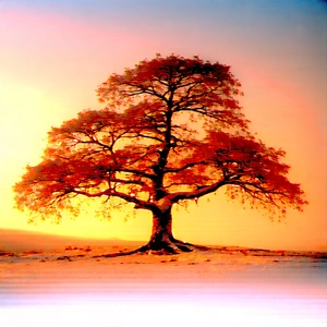 Nature Digital Illustration: Ancient Tree In Winter Snow With Large Tree