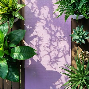 Lifestyle Drone Photography: Wellness scene with yoga mat and plants