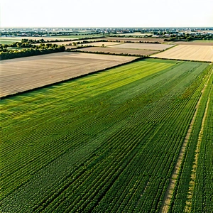Nature Drone Photography: Aerial view of agricultural fields