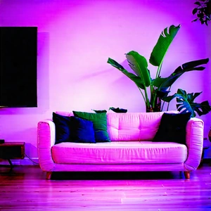 Lifestyle Stock Photography: Cozy Living Room With Plants And Natural Elements With Large White