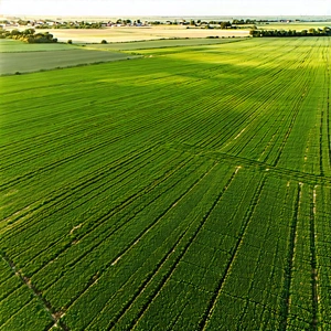 Nature Advertising Photography: Aerial view of agricultural fields