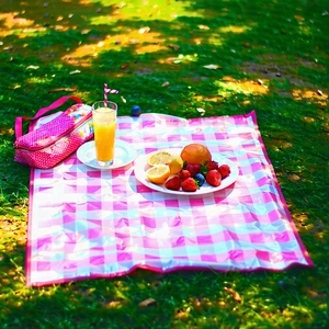 Lifestyle Aerial Photography: Summer Picnic During Festival Time With Picnic Blanket