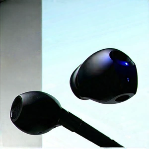 Wireless Earbuds With User Interface With Black Earphones,