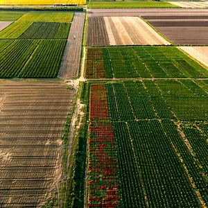Nature Digital Art: Aerial View Of Agricultural Fields With Large Aerial