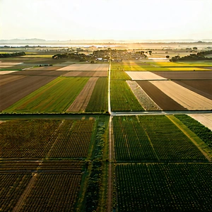 Nature Matte Painting: Aerial View Of Agricultural Fields With Large, Lush