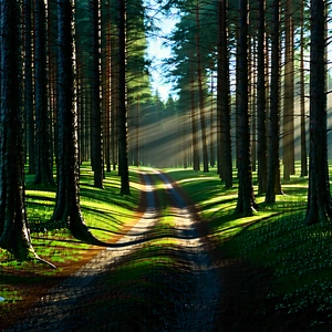 Nature 3d Render: Path Through Pine (forest:1.41) With Forest Path