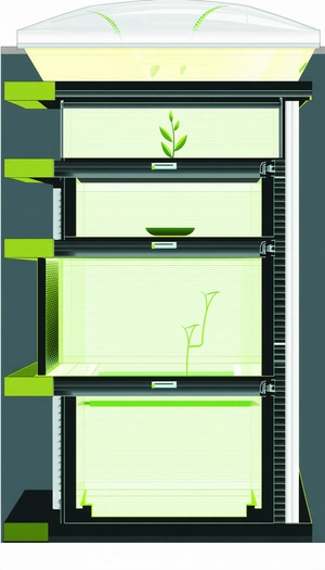 A Green Plant Is Growing In A Glass Container, Which Is Placed On A Shelf