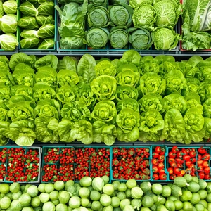 Urban Infographic Style: Urban Farmers Market Scene With Showcases Large