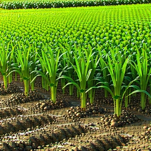 Agricultural Technology In Research Center With Large Field